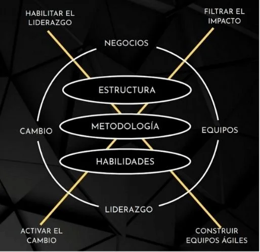 Organizacion : Enterprise Scaling Certified — SCRUM MÉXICO