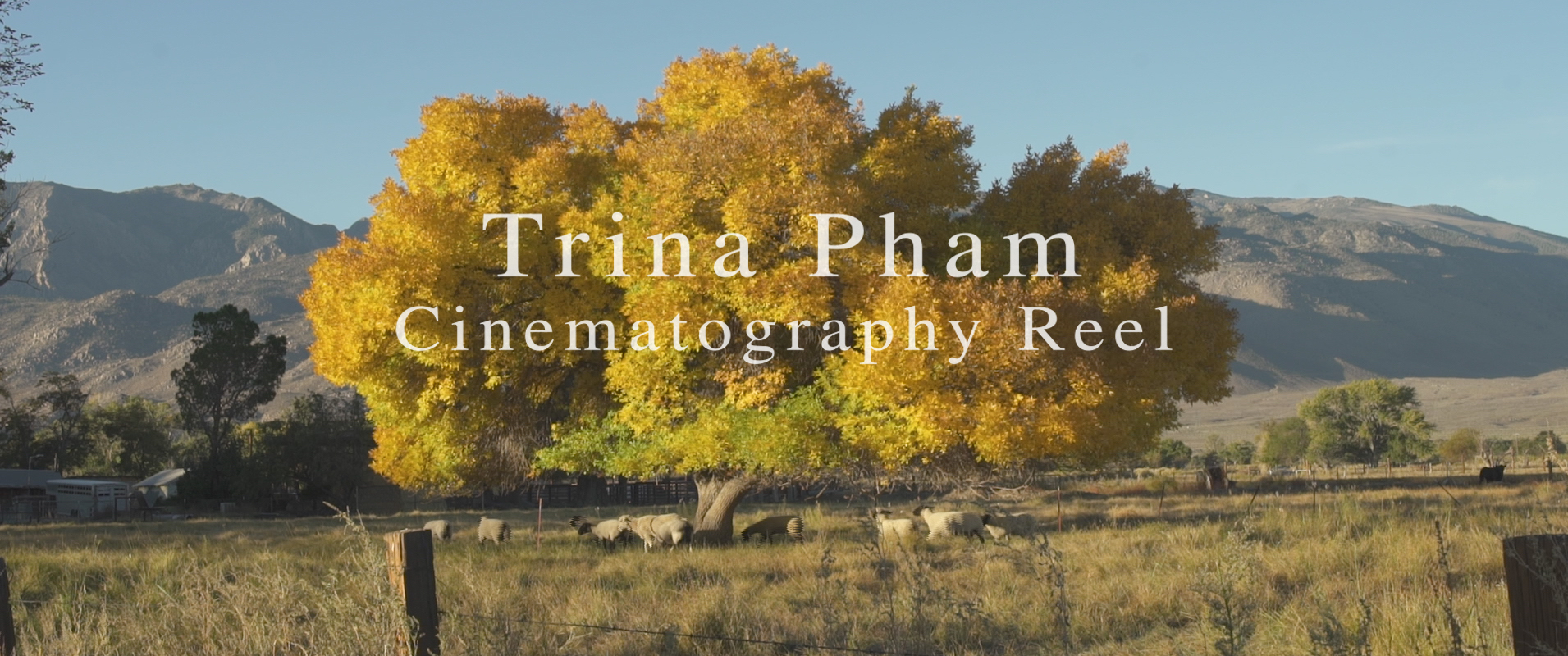 Cinematography Reel