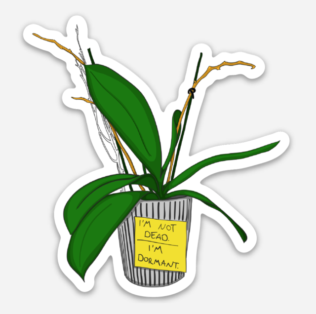 I'm not dead. I'm dormant vinyl sticker