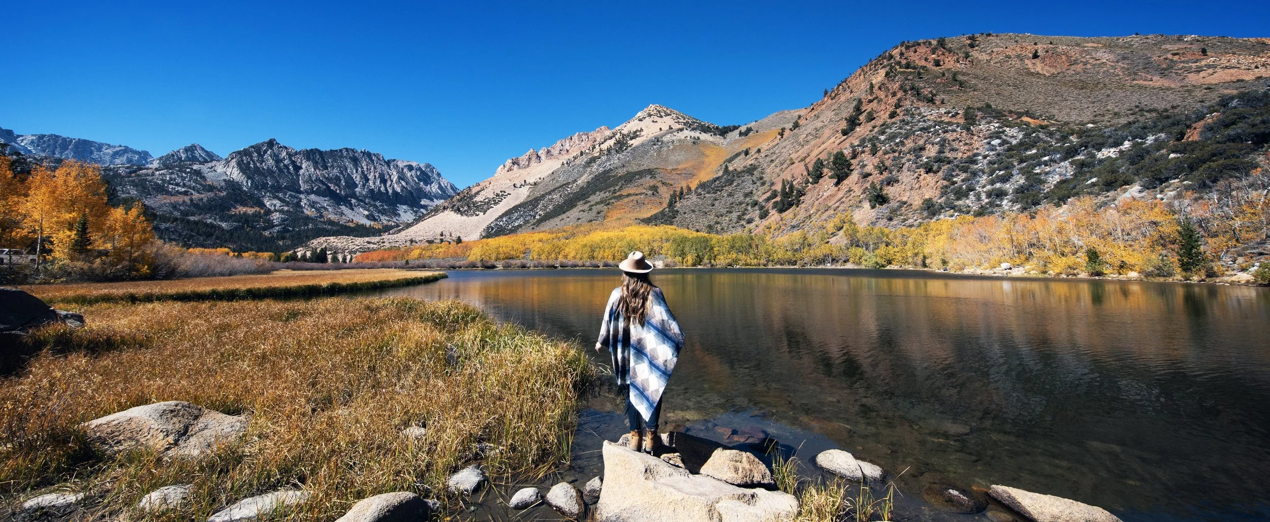 Eastern Sierra Fall Color Report **Current Conditions** (Sep 29-Oct 1)