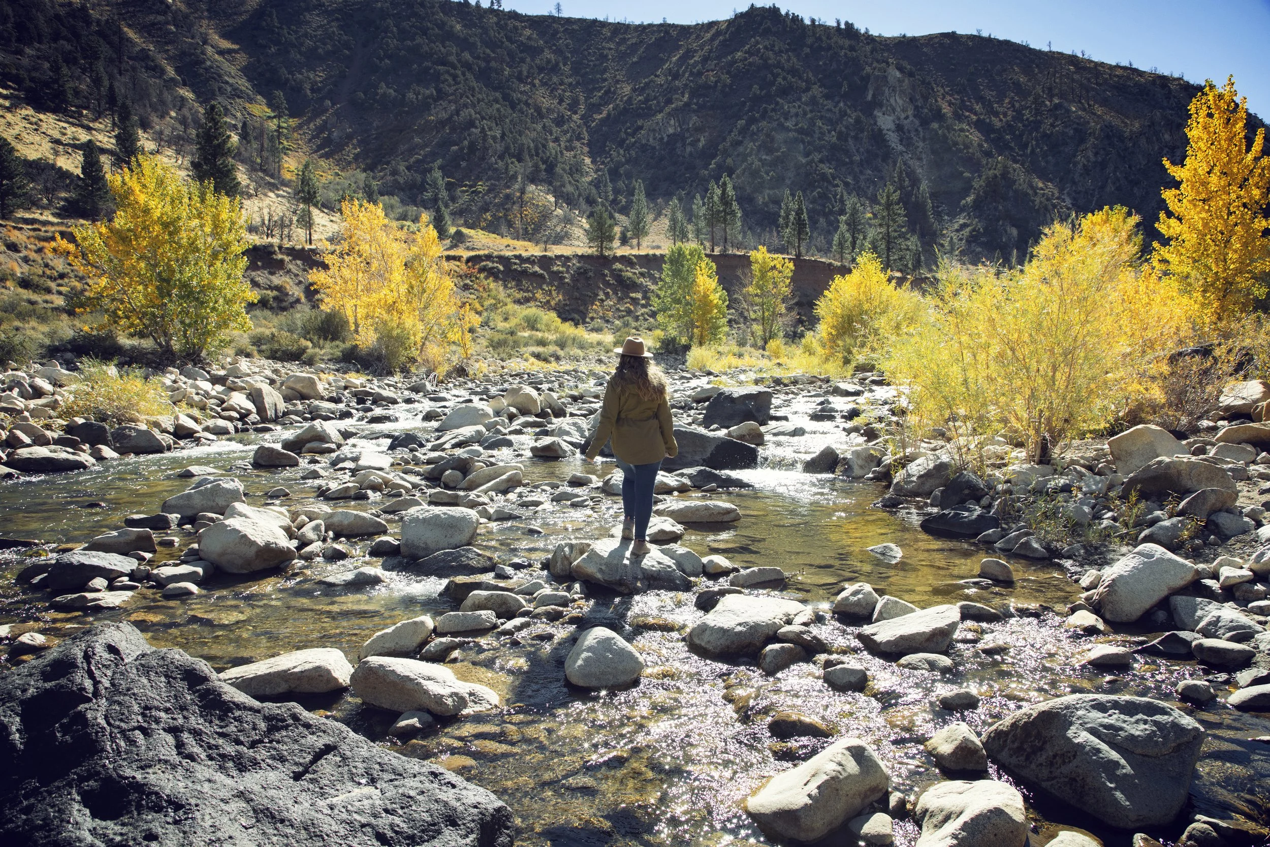 Sonora Pass Fall Colors & Top Spots (High Sierra) — Flying Dawn Marie
