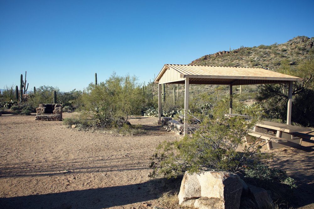 Bajada Loop Drive Stops (Saguaro National Park West) — Flying Dawn ...