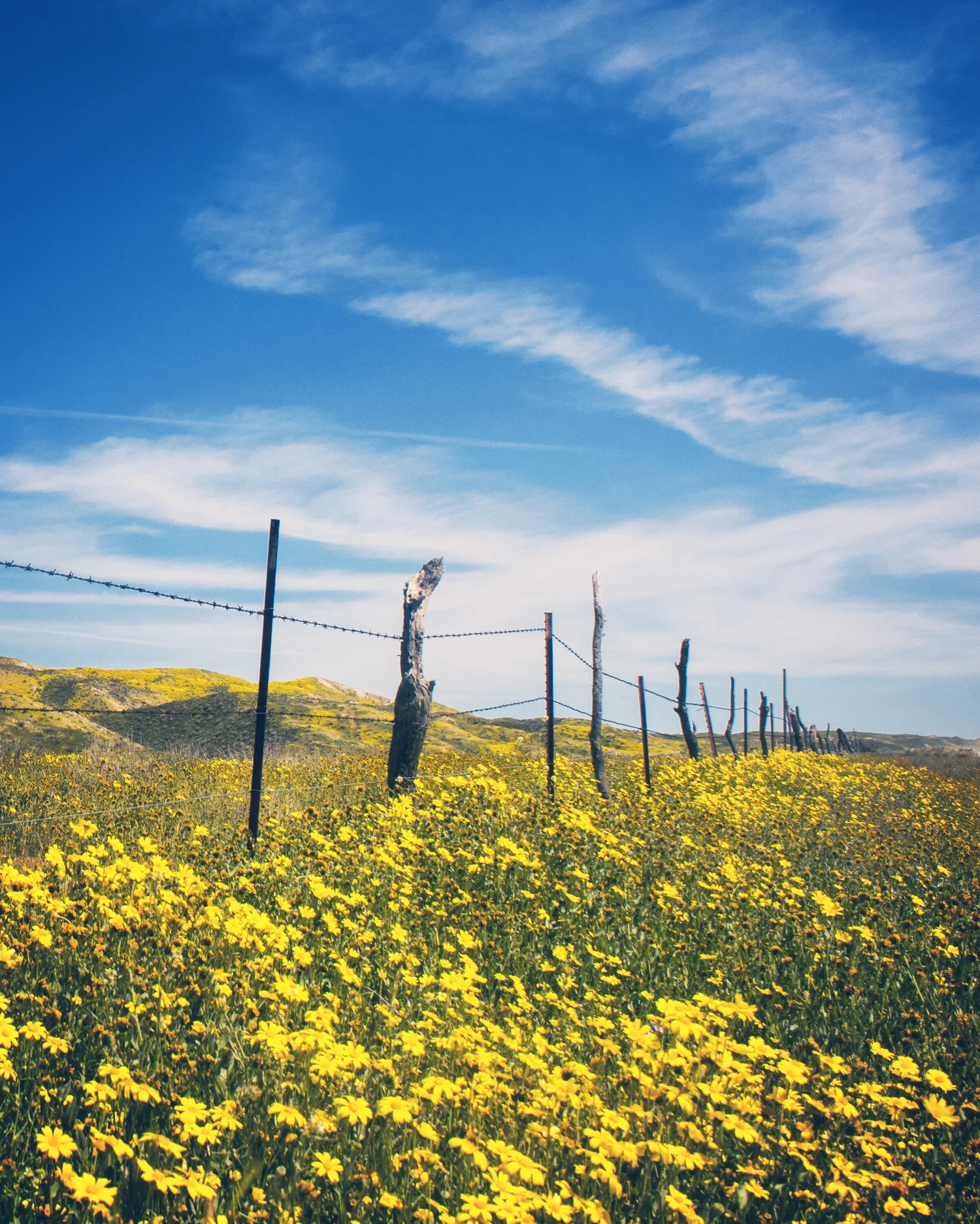 Golden Spring Days — Flying Dawn Marie | Travel blog, guides ...