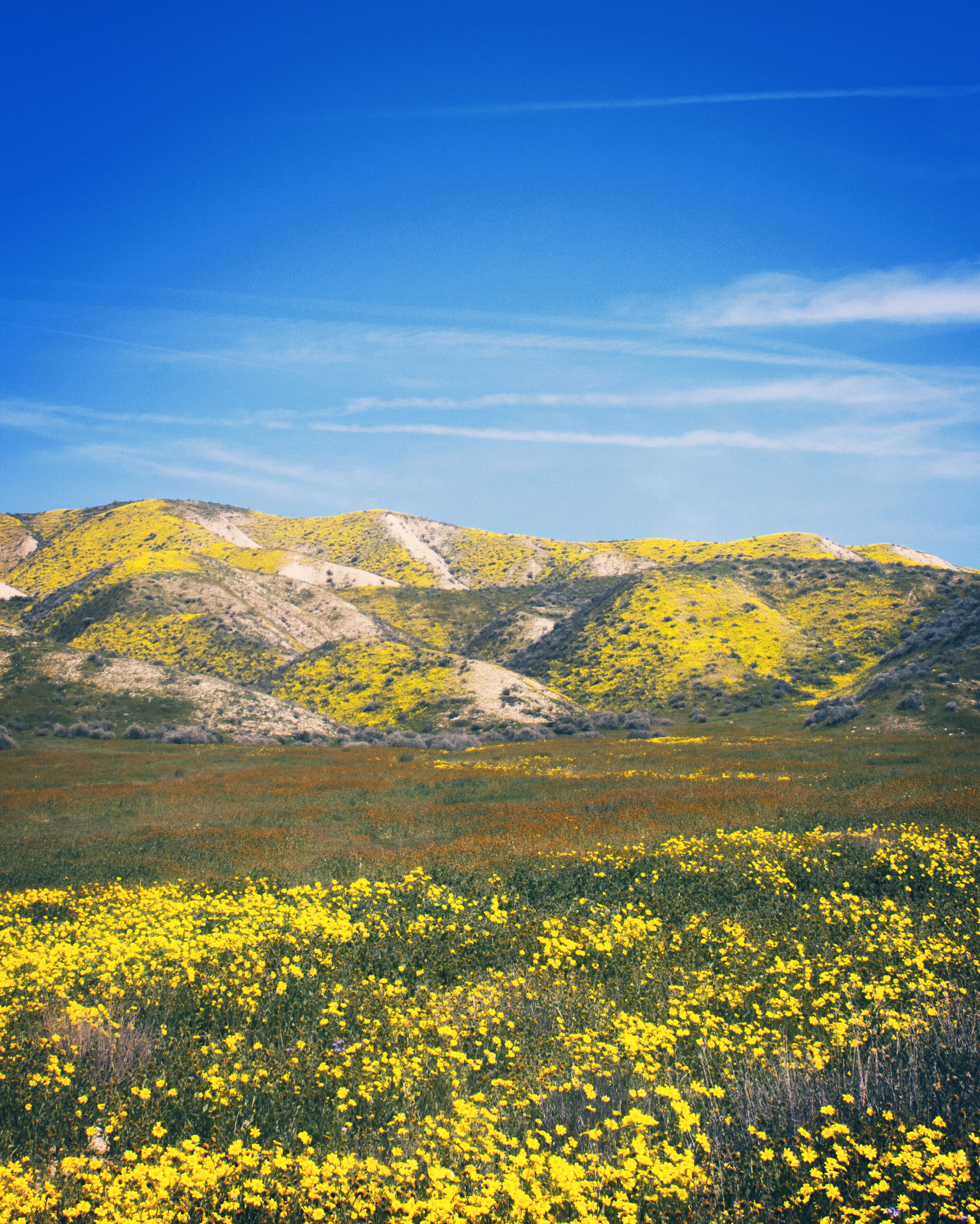 Golden Spring Days — Flying Dawn Marie | Travel blog, guides ...