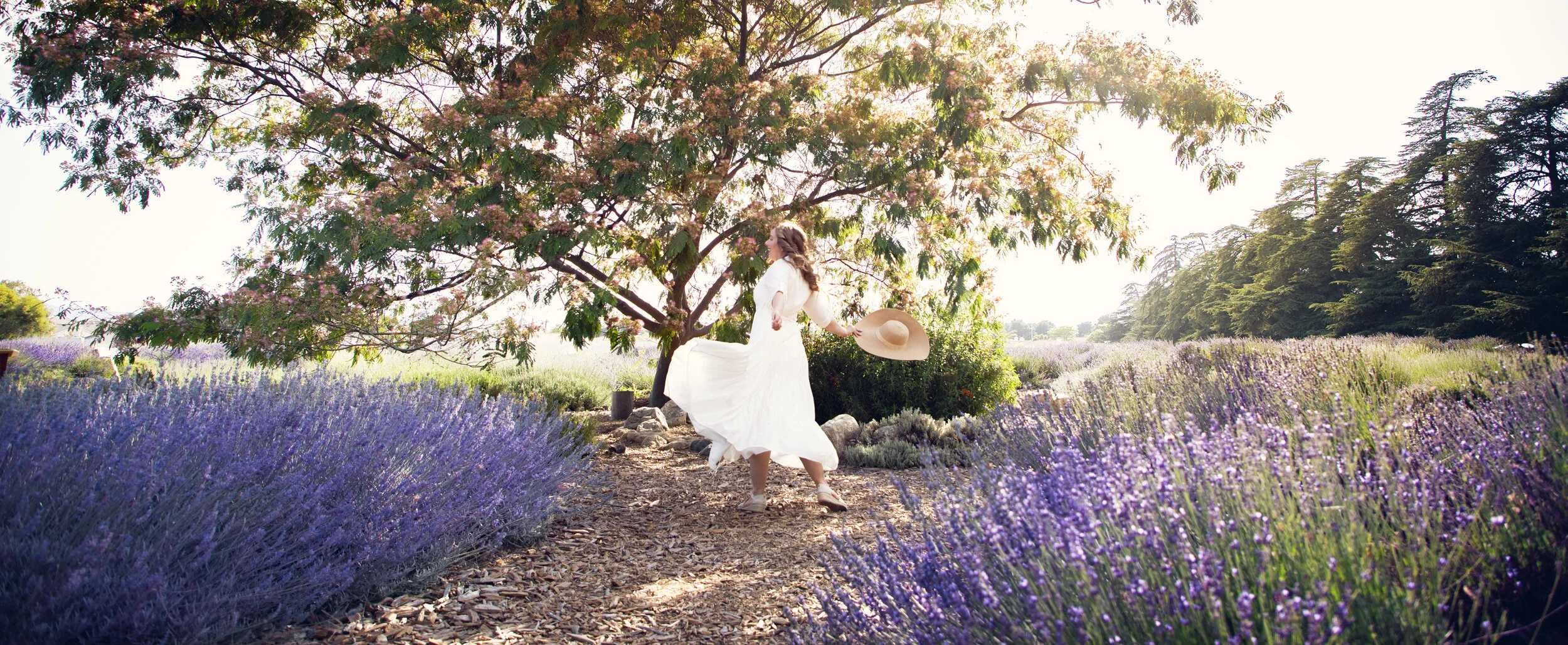 A Stroll Through SoCal Lavender Fields