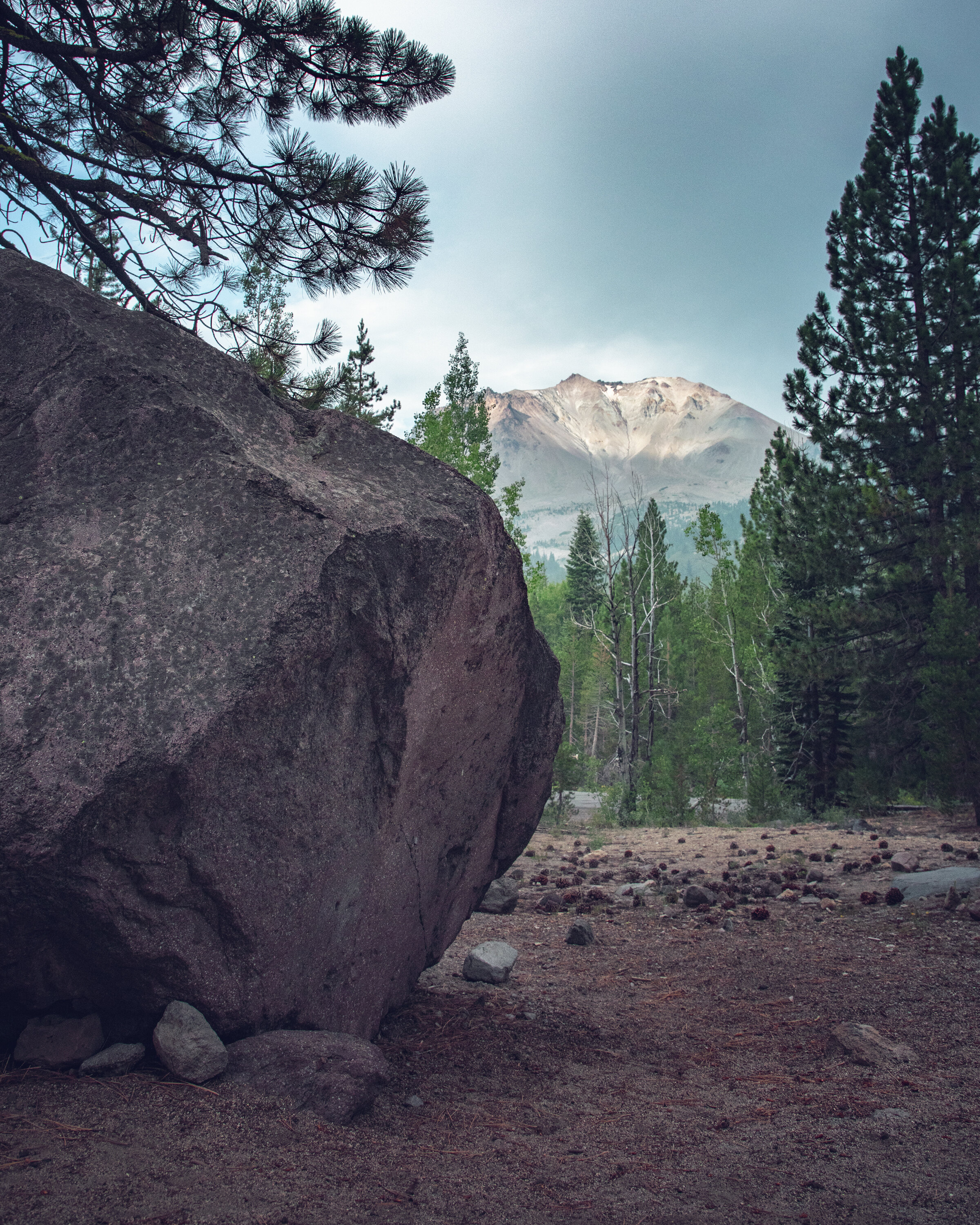 Devastated Area Trail in Lassen Volcanic National Park — Flying Dawn Marie