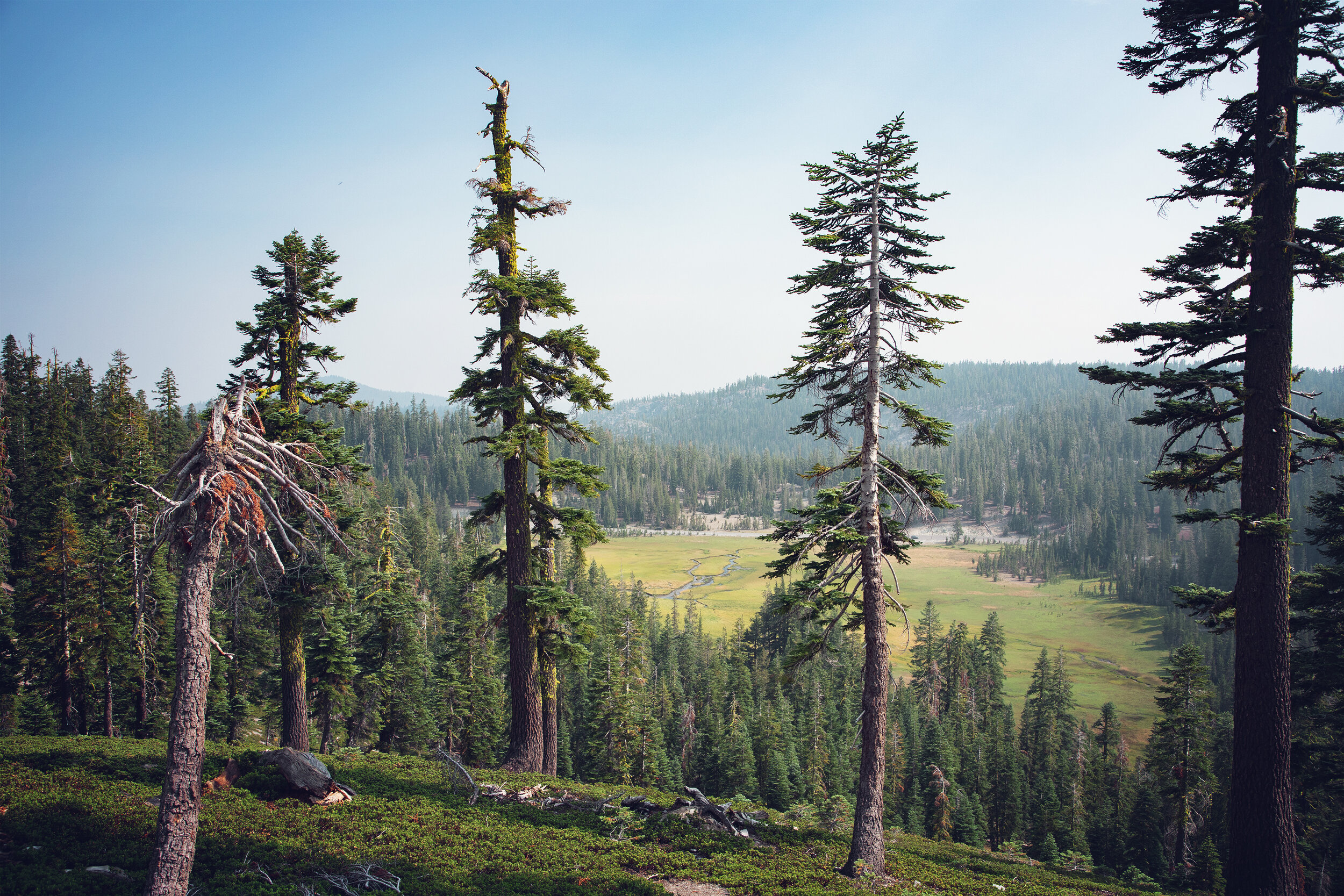 Devastated Area Trail in Lassen Volcanic National Park — Flying Dawn Marie