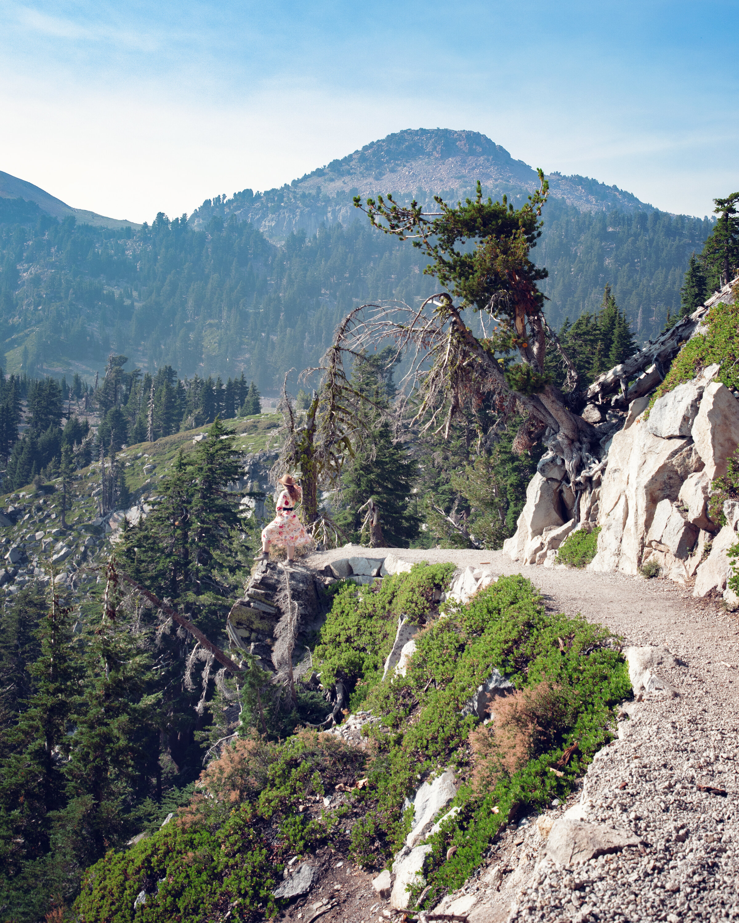 Devastated Area Trail in Lassen Volcanic National Park — Flying Dawn Marie