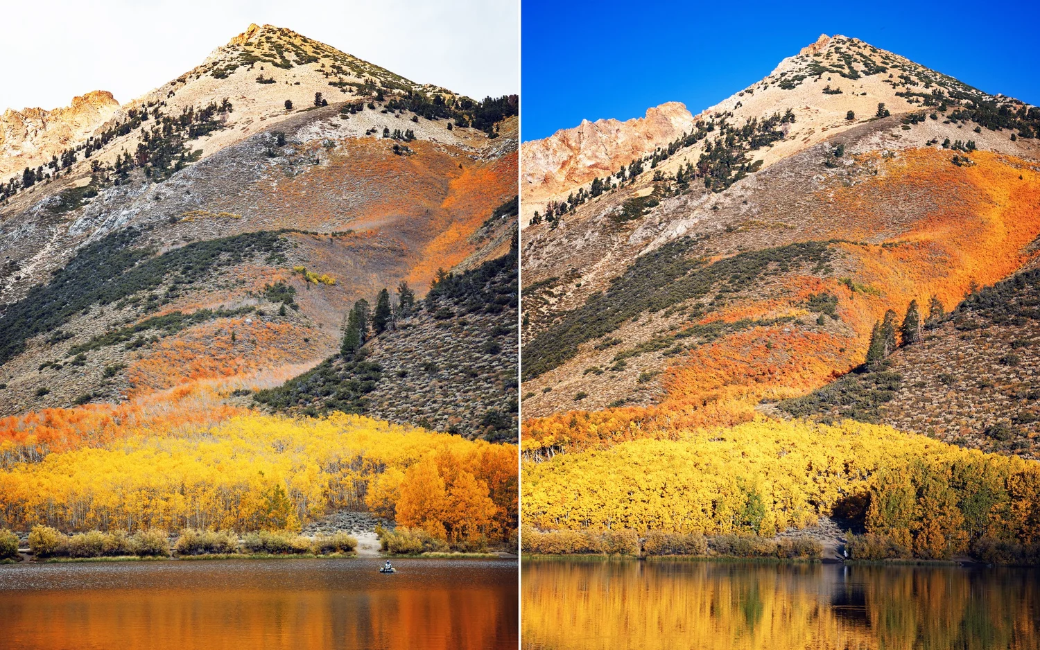Eastern Sierra Fall Colors Report (10/9) **GO NOW/GO SOON** — Flying ...