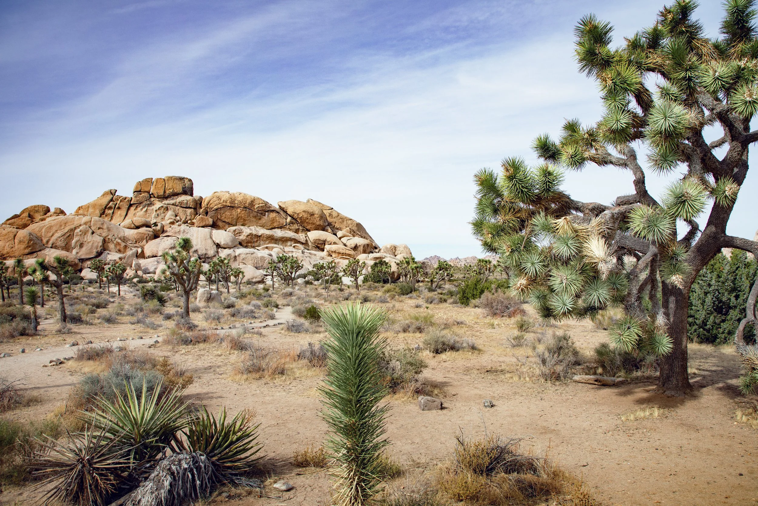 Hall of Horrors SLOT CANYONS (Joshua Tree National Park) — Flying Dawn