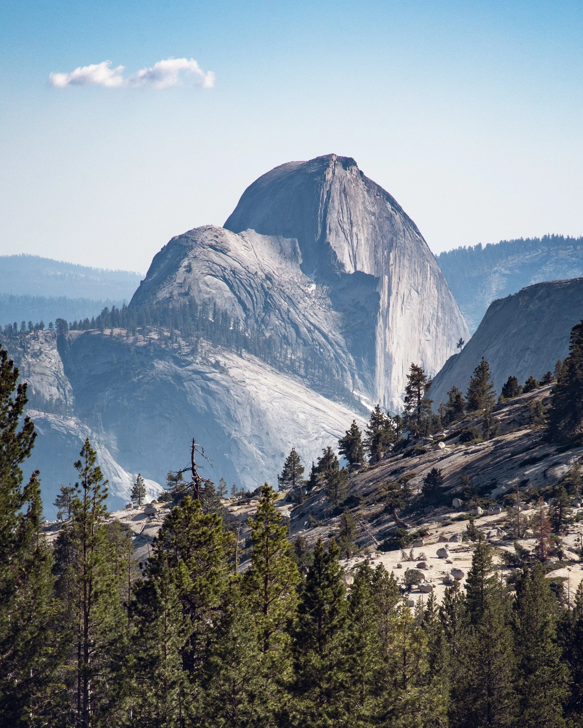 Tioga Rd Tioga Pass is Open! (2024 Current Conditions) Yosemite National Park ...