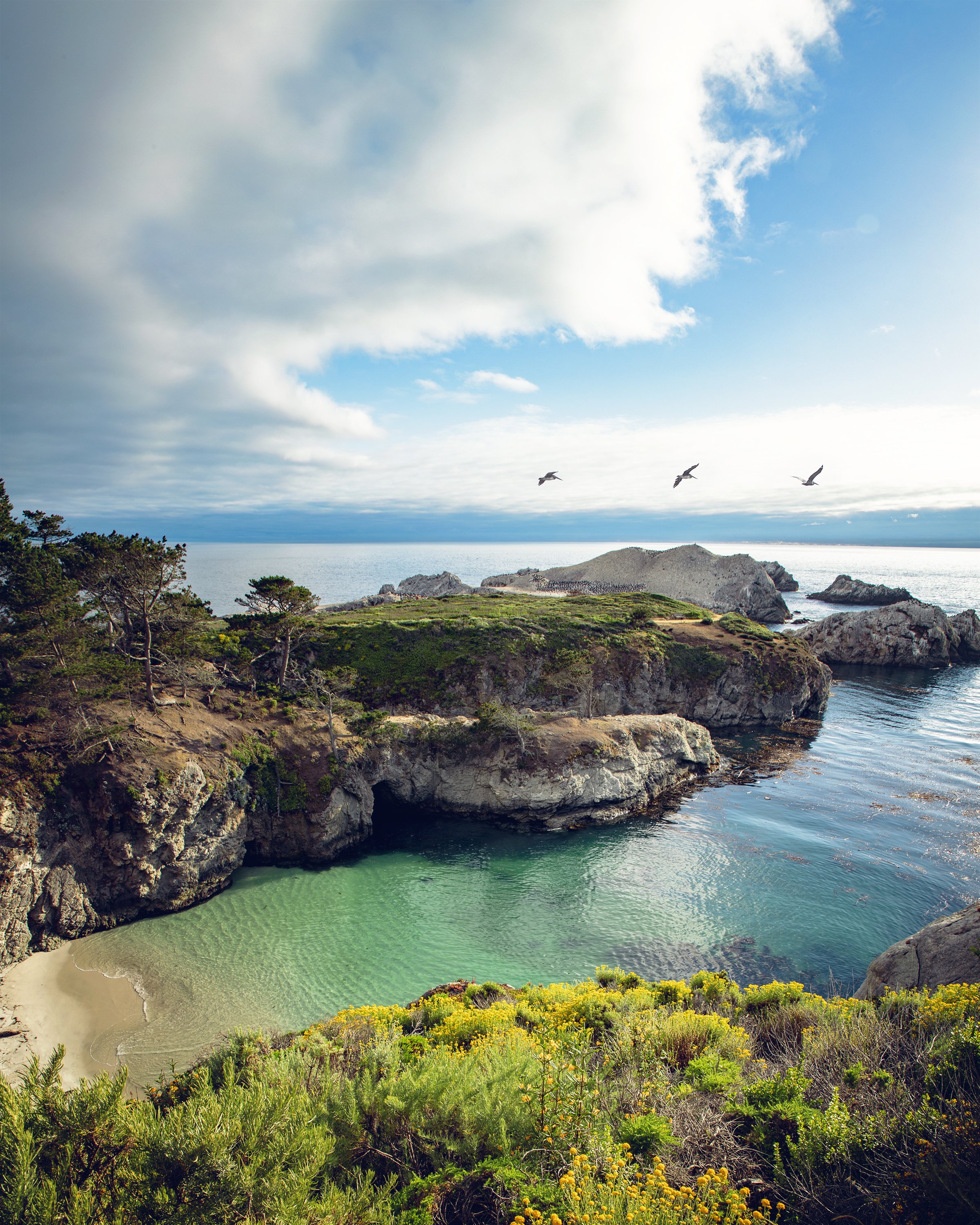 Point Lobos State Natural Reserve