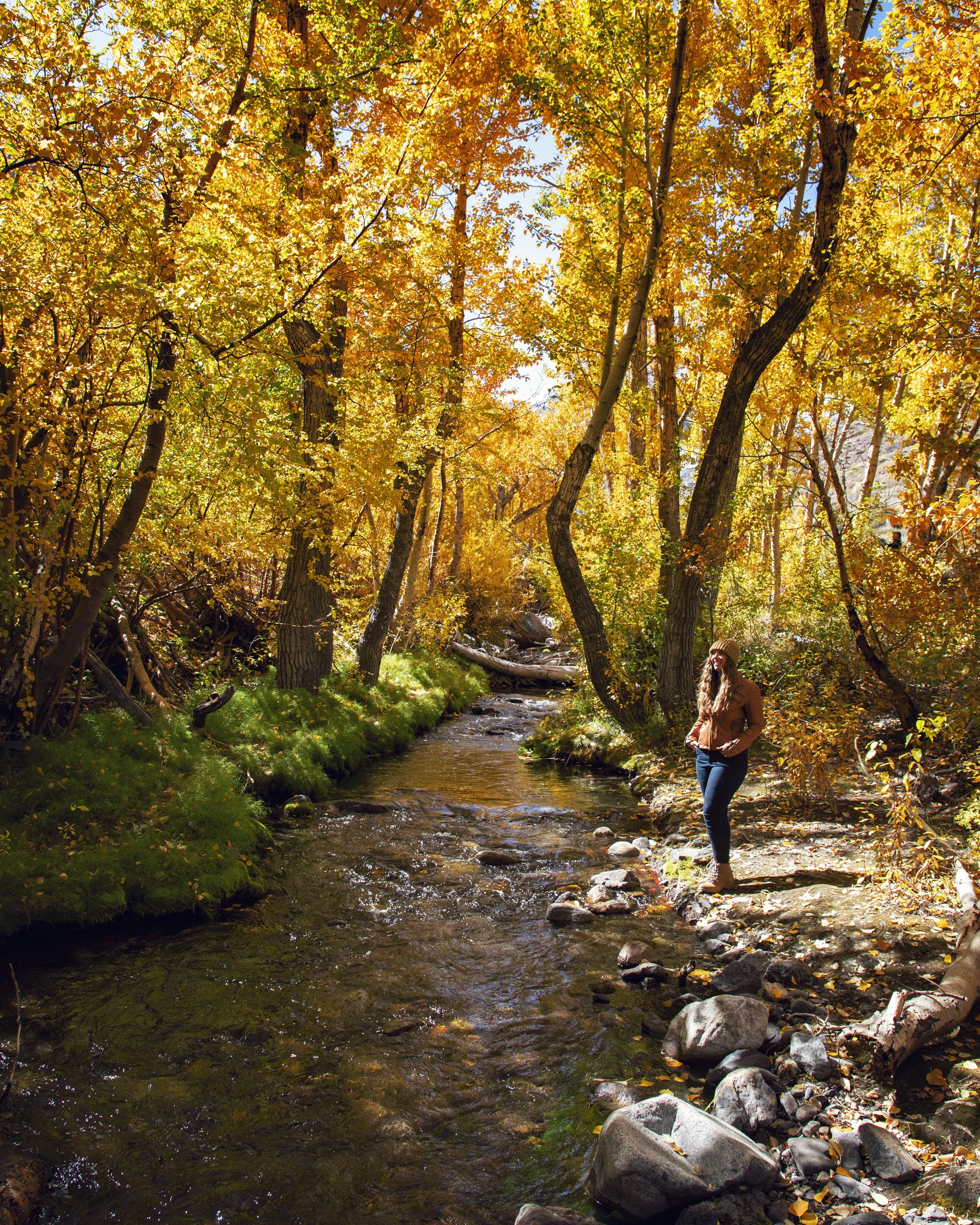 Eastern Sierra Fall Colors - TOP 20 SPOTS — Flying Dawn Marie | Travel ...