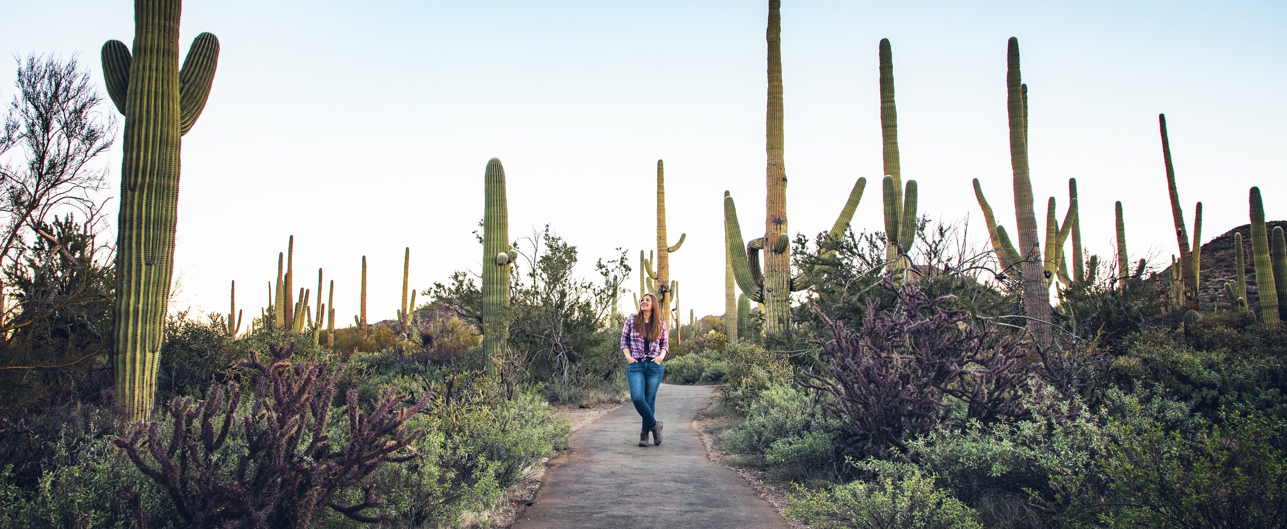 Desert Discovery Nature Trail (Saguaro National Park West) — Flying Dawn  Marie