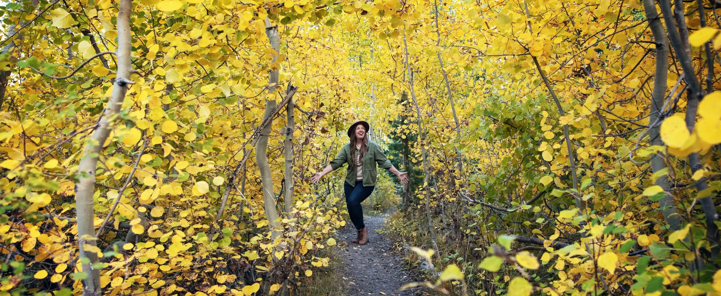 Eastern Sierra Fall Color Report **Current Conditions** (Sep 22-24)