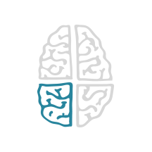 shyne_flow_icons_brain_3.png