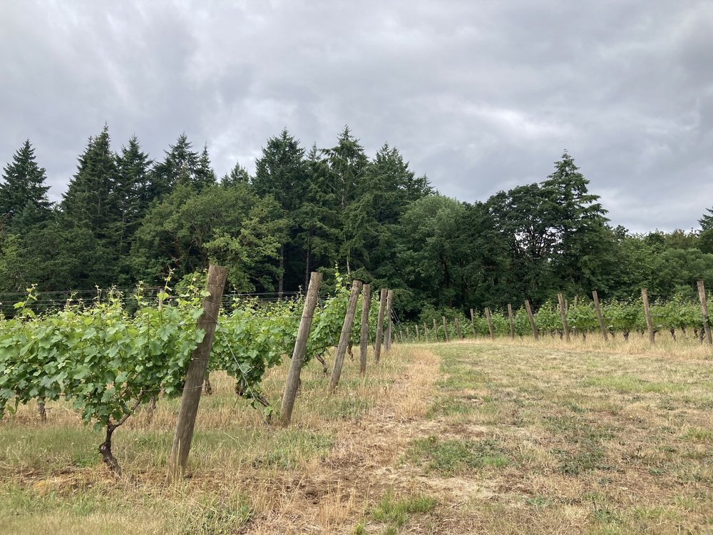 Wines & Purchasing — Goodfellow Family Cellars