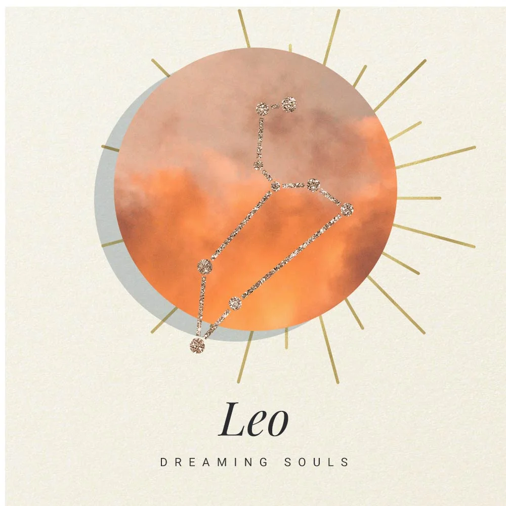 LEO copy.jpg