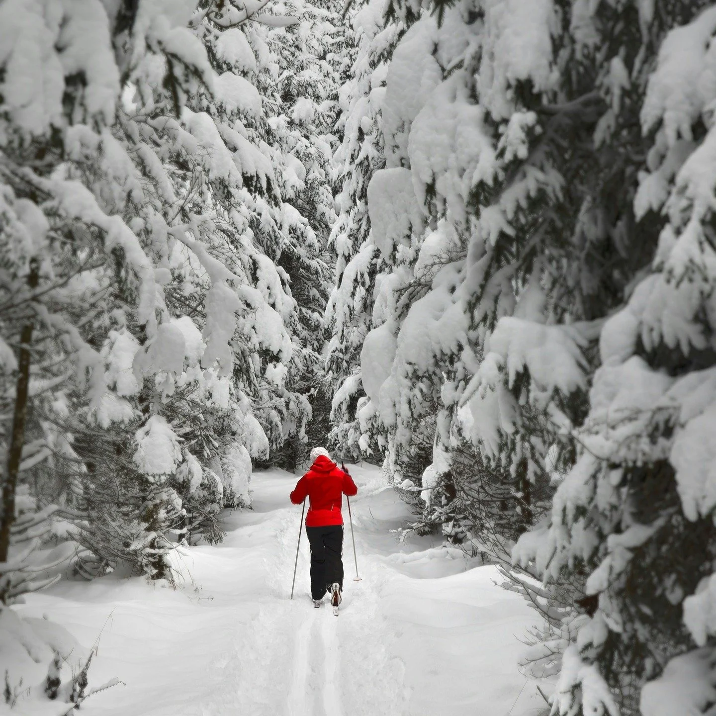 Movement Monday - Winter Weather ❄️

Winter weather is here! And with that comes some change to most fitness routines, whether it be moving indoors to avoid running on icy pavement, hitting the slopes, or trying out some new indoor classes. 🏃🏼&zwj;