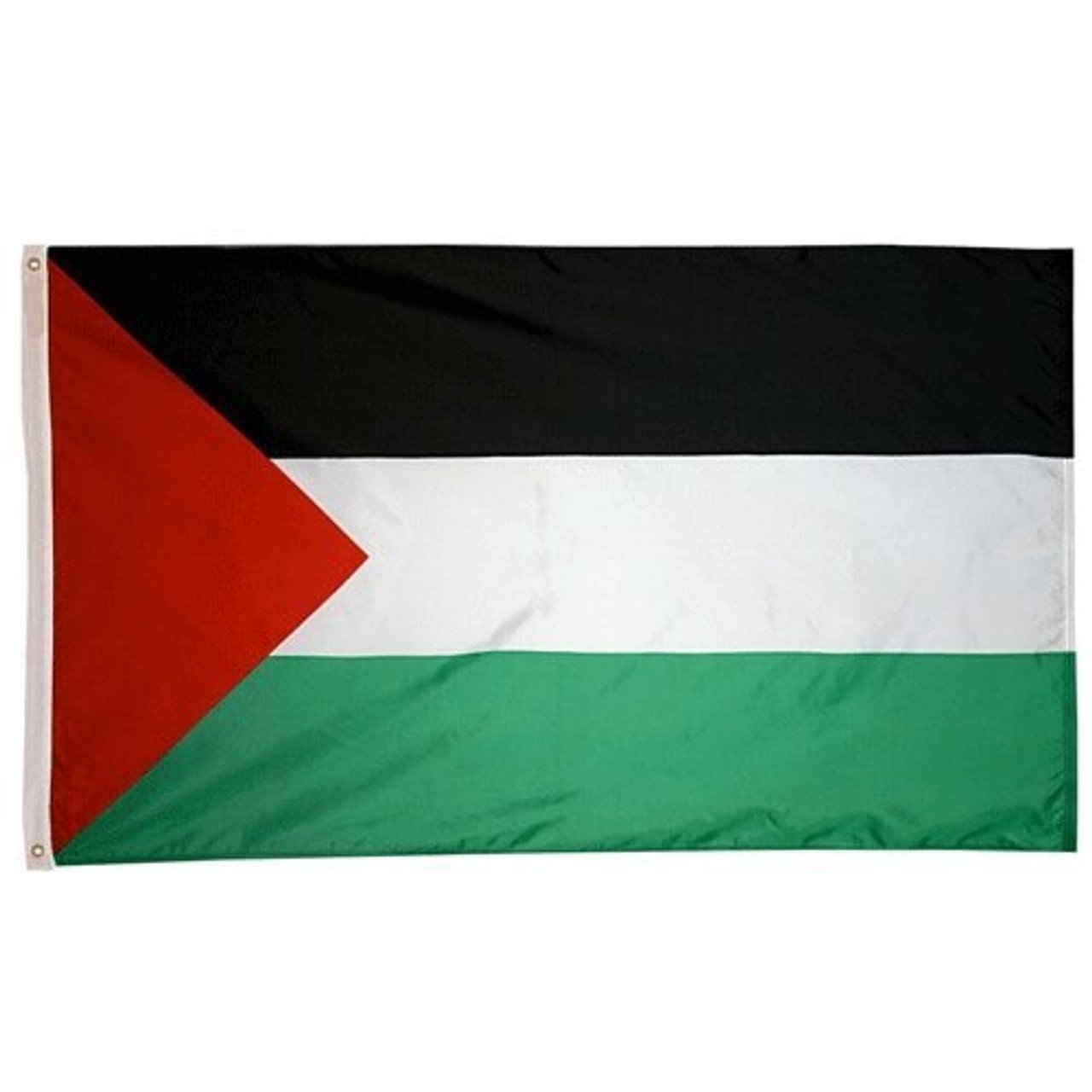 Palestine flag.jpg