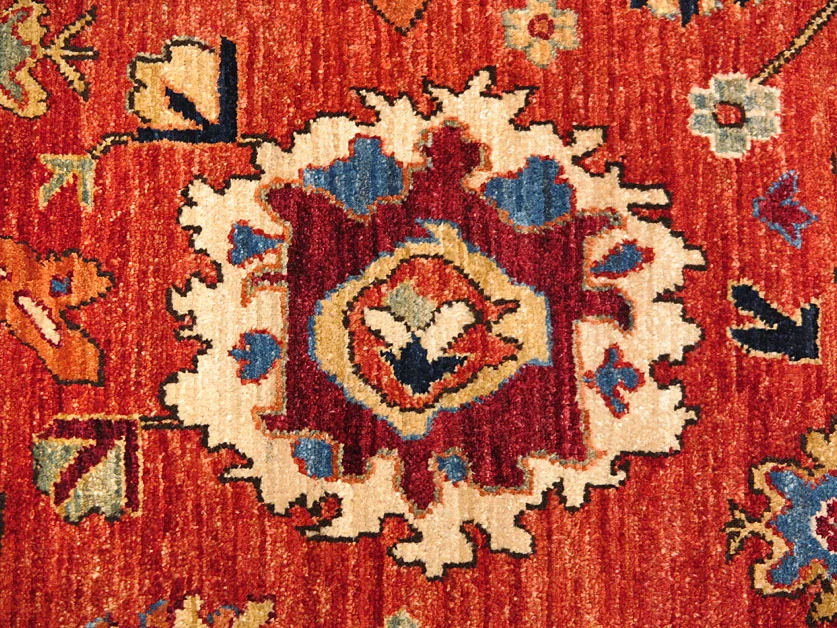 10343d.jpg