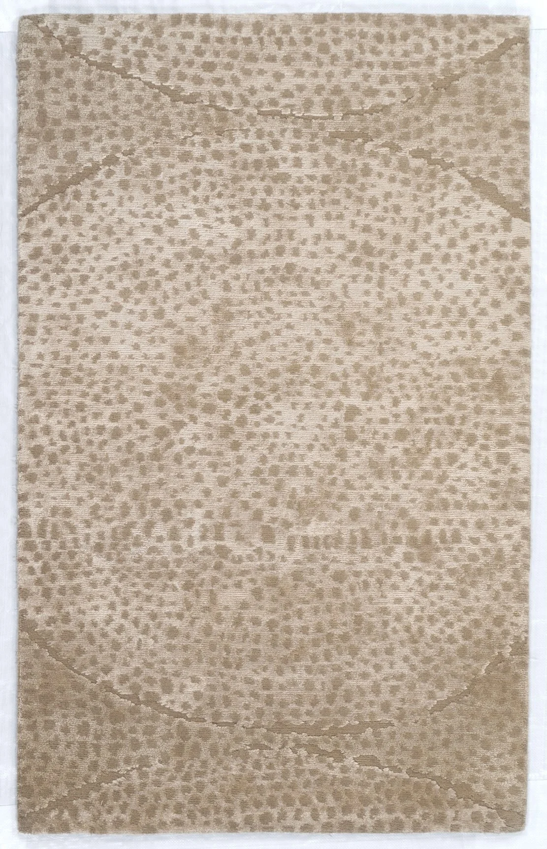 3'x5' Organica, Modern