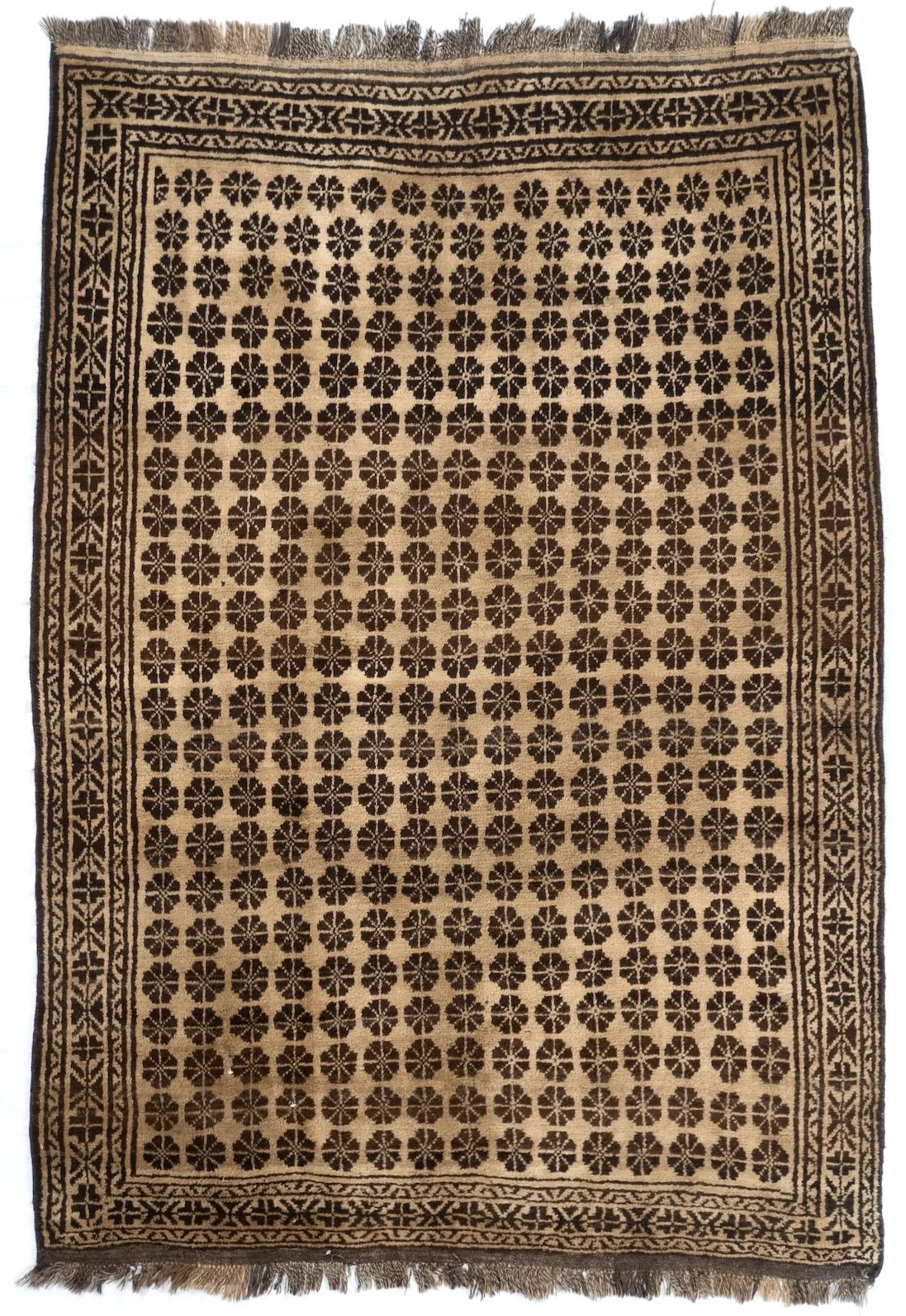 4'9"x7' Baluch, Tribal