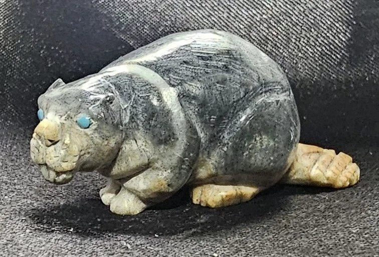 Picasso Marble Beaver with Kingman Turquoise eyes