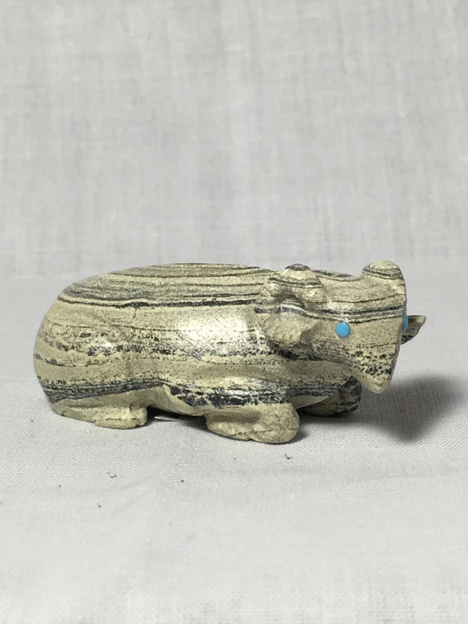 Banded Serpentine Ram