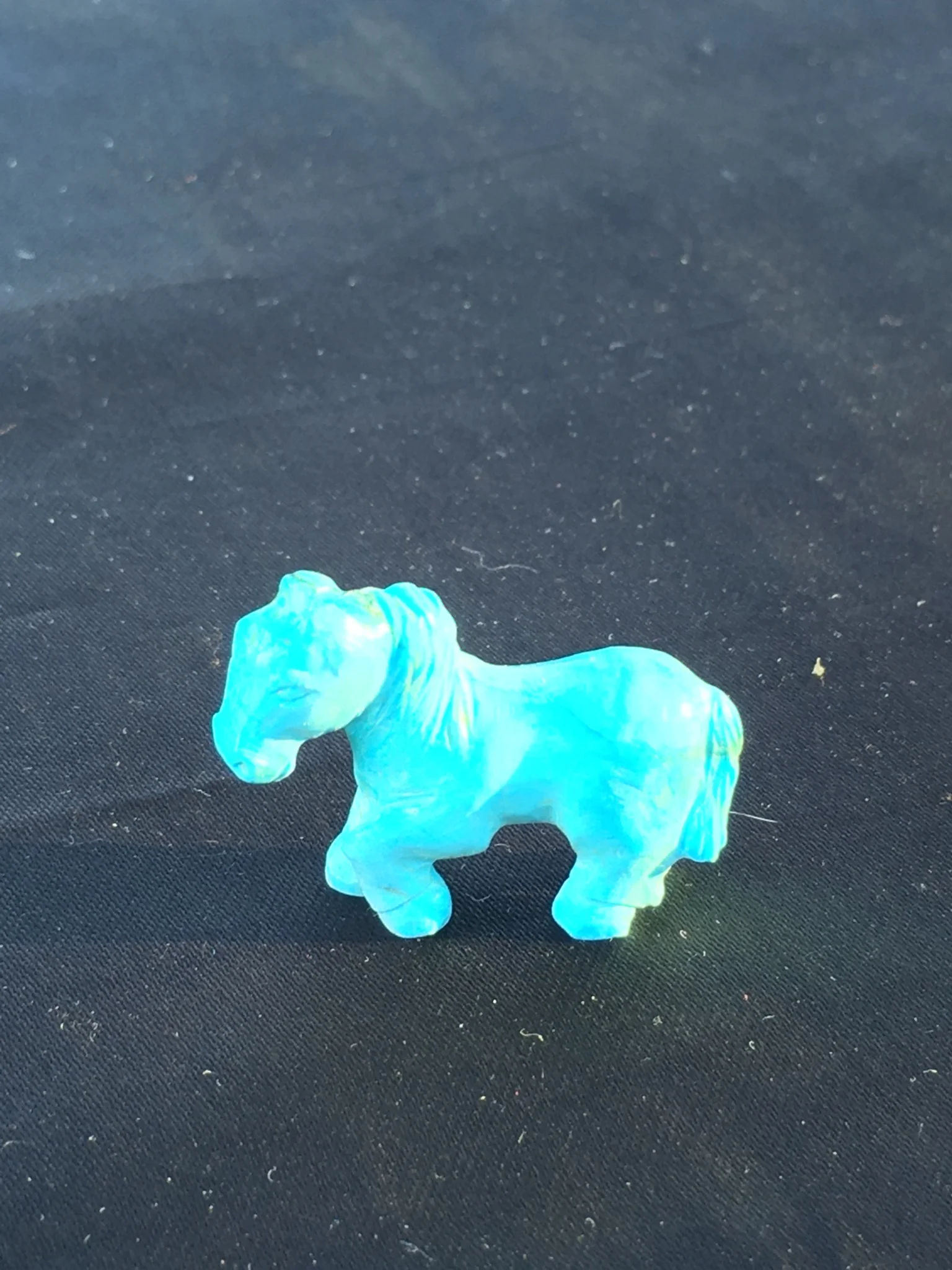 Turquoise Horse