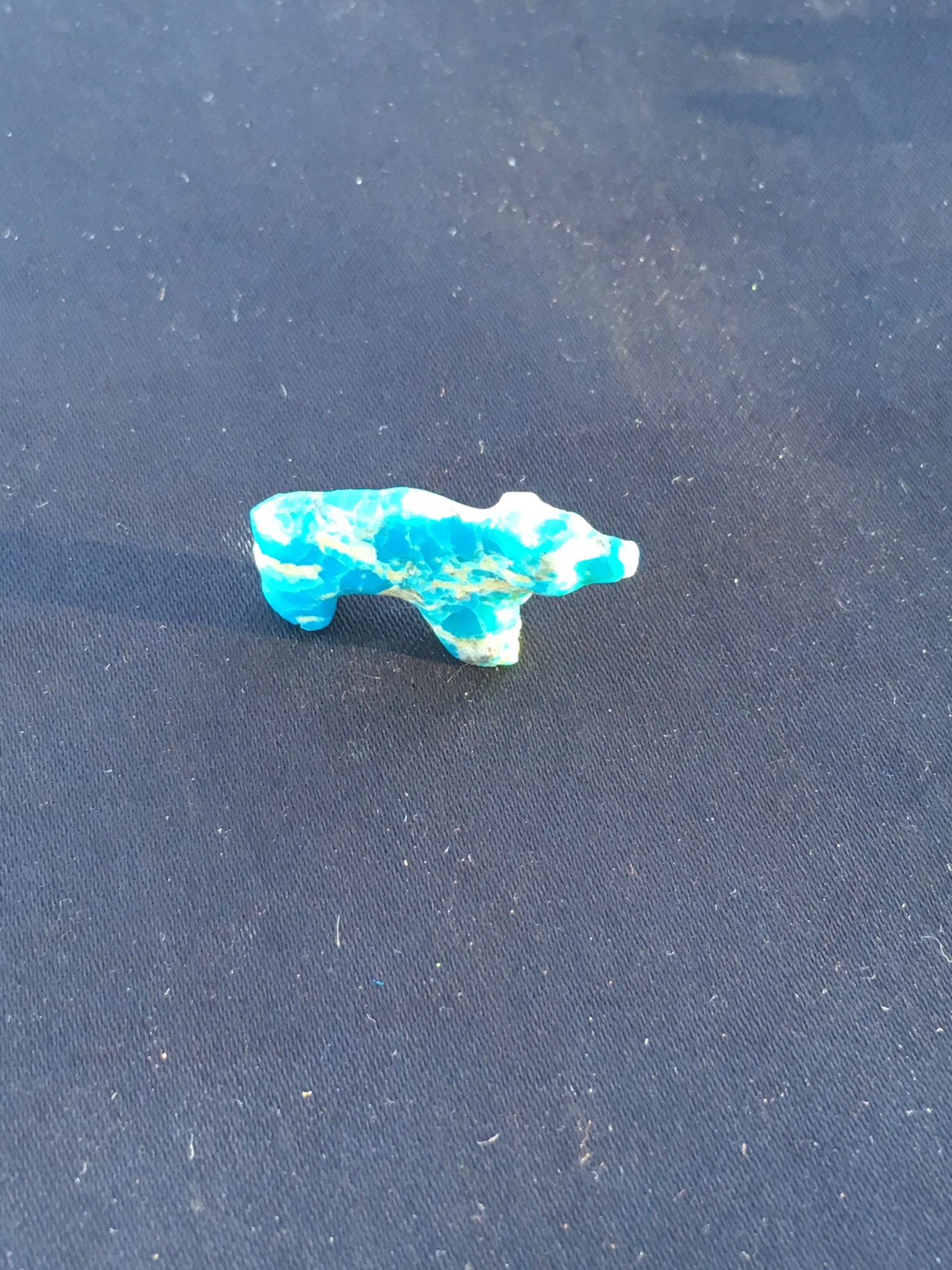 Turquoise Bear