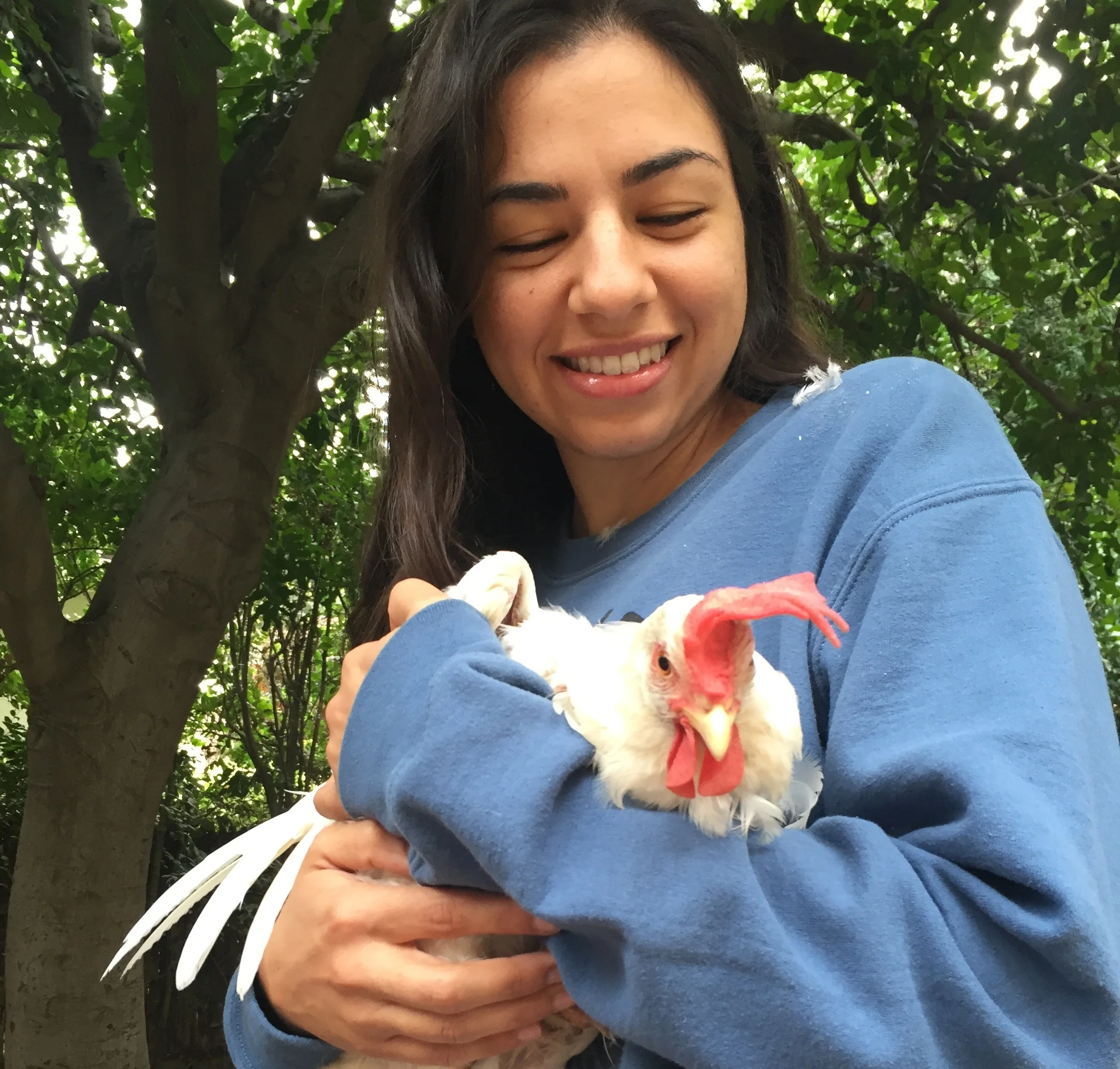 Sugar has opinions about being held, whereas I enter full chicken mom mode