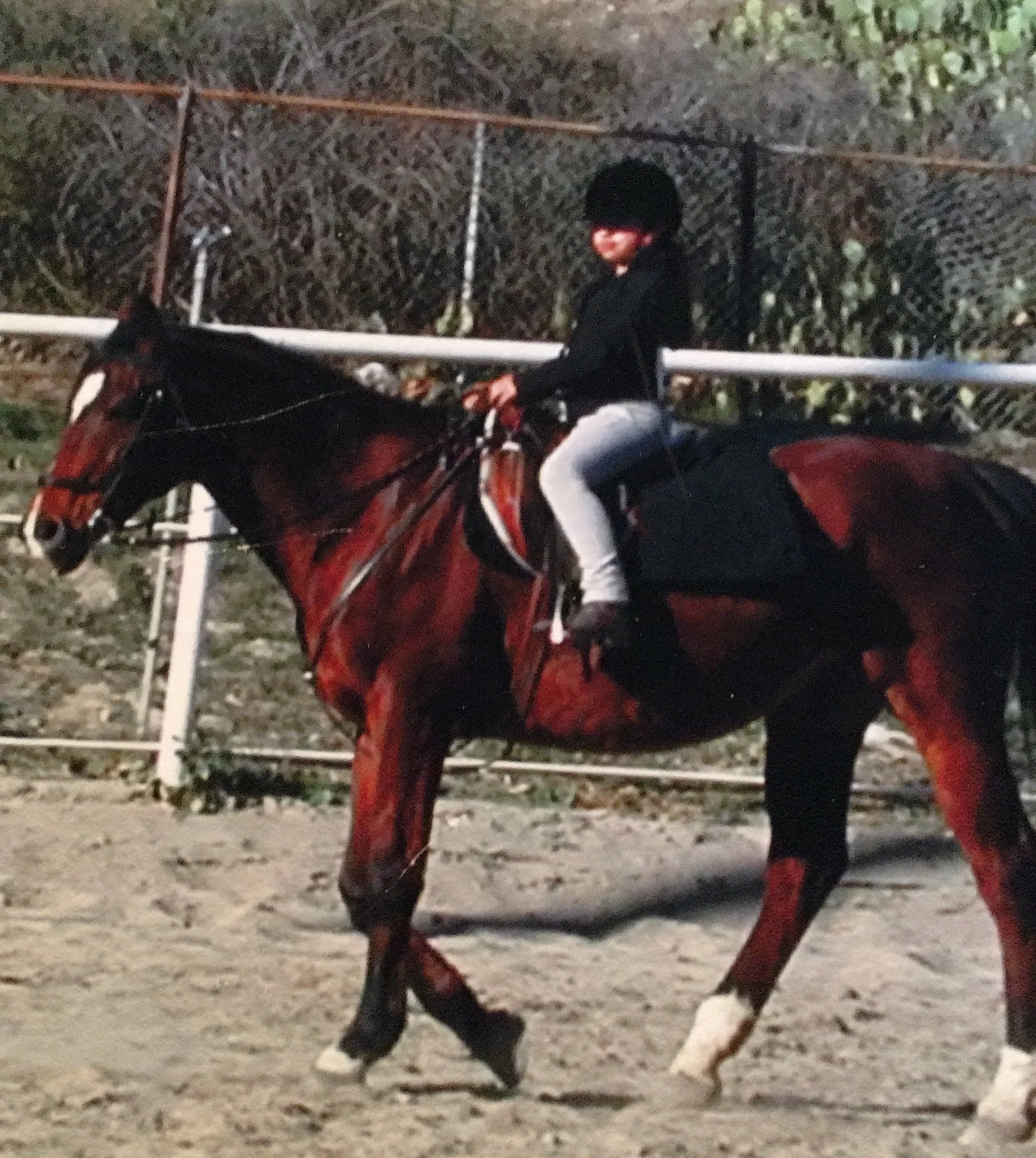 Me on Barney, my favorite of Jane’s ‘90s school horses