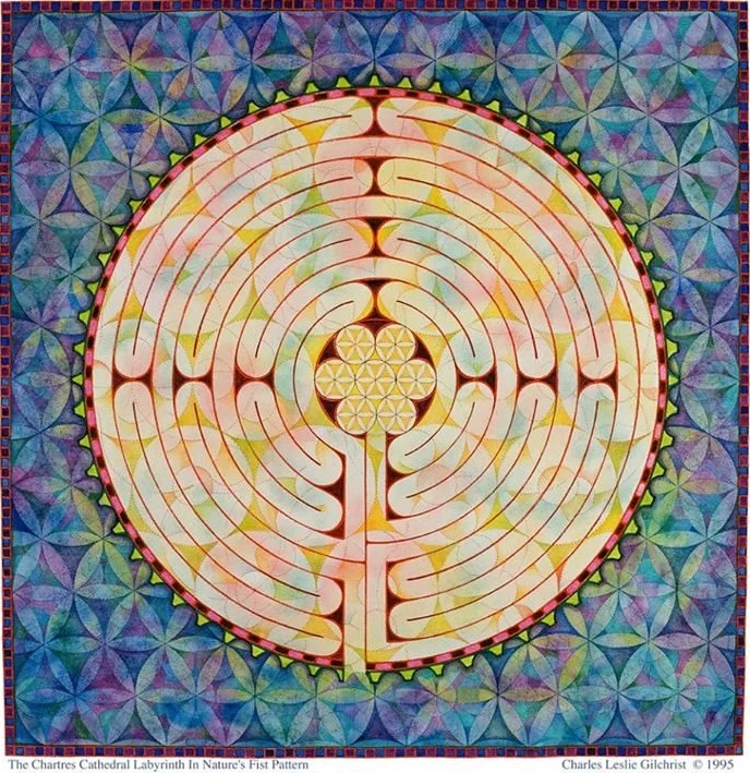 The blueprint of the 11-circuit labyrinth
