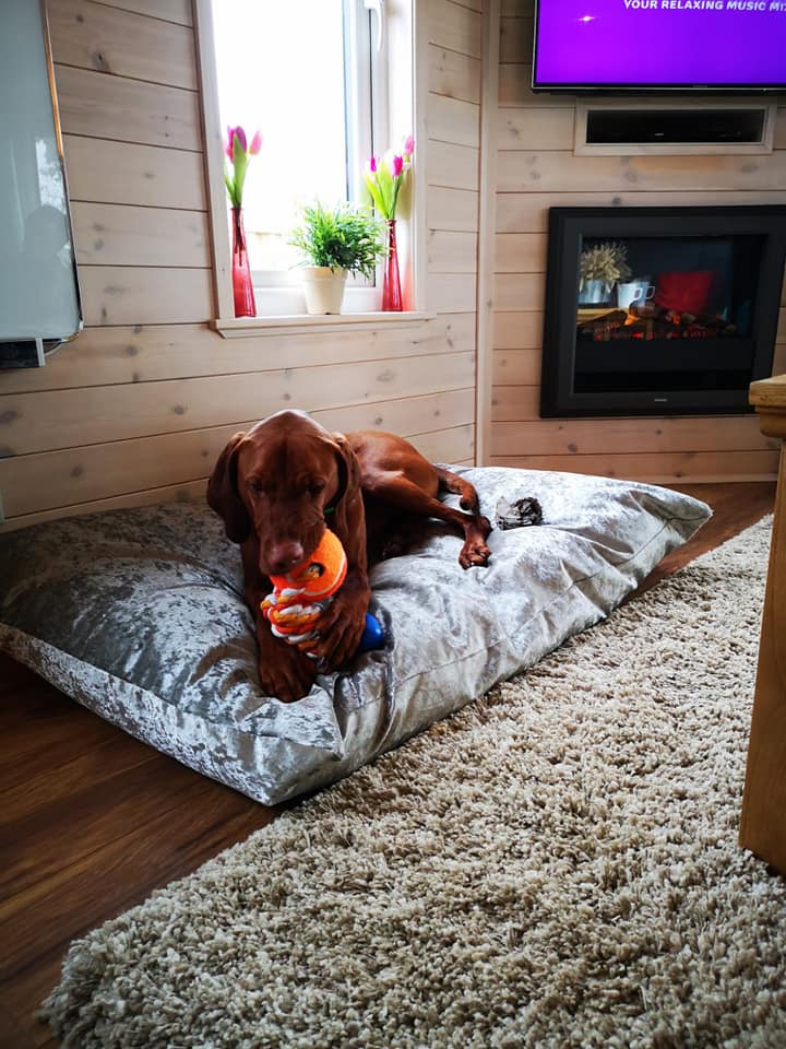 Beds and toys.jpg