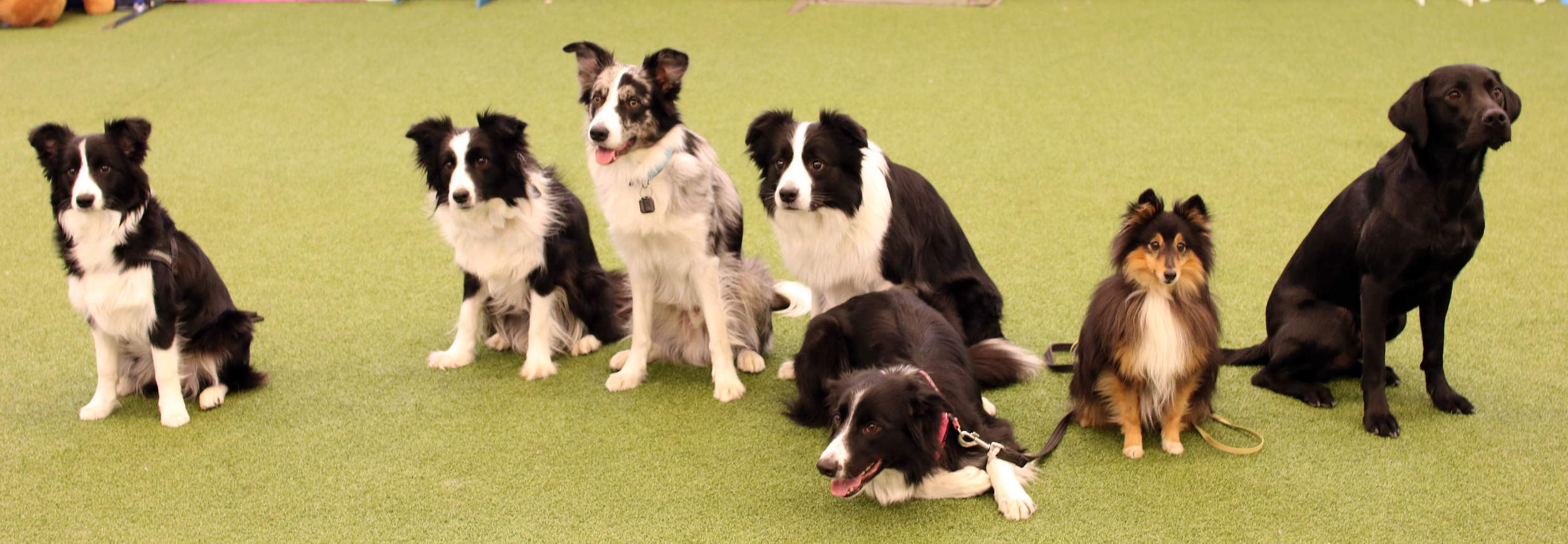 Why we built AgiNotes?