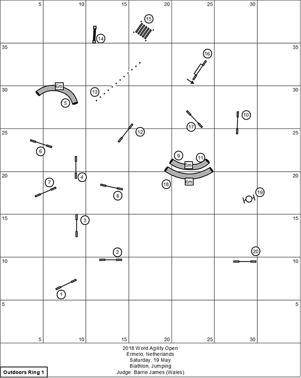world-agility-open-2018-biathlon-jumping-Barrie-James-AgiNotes.png