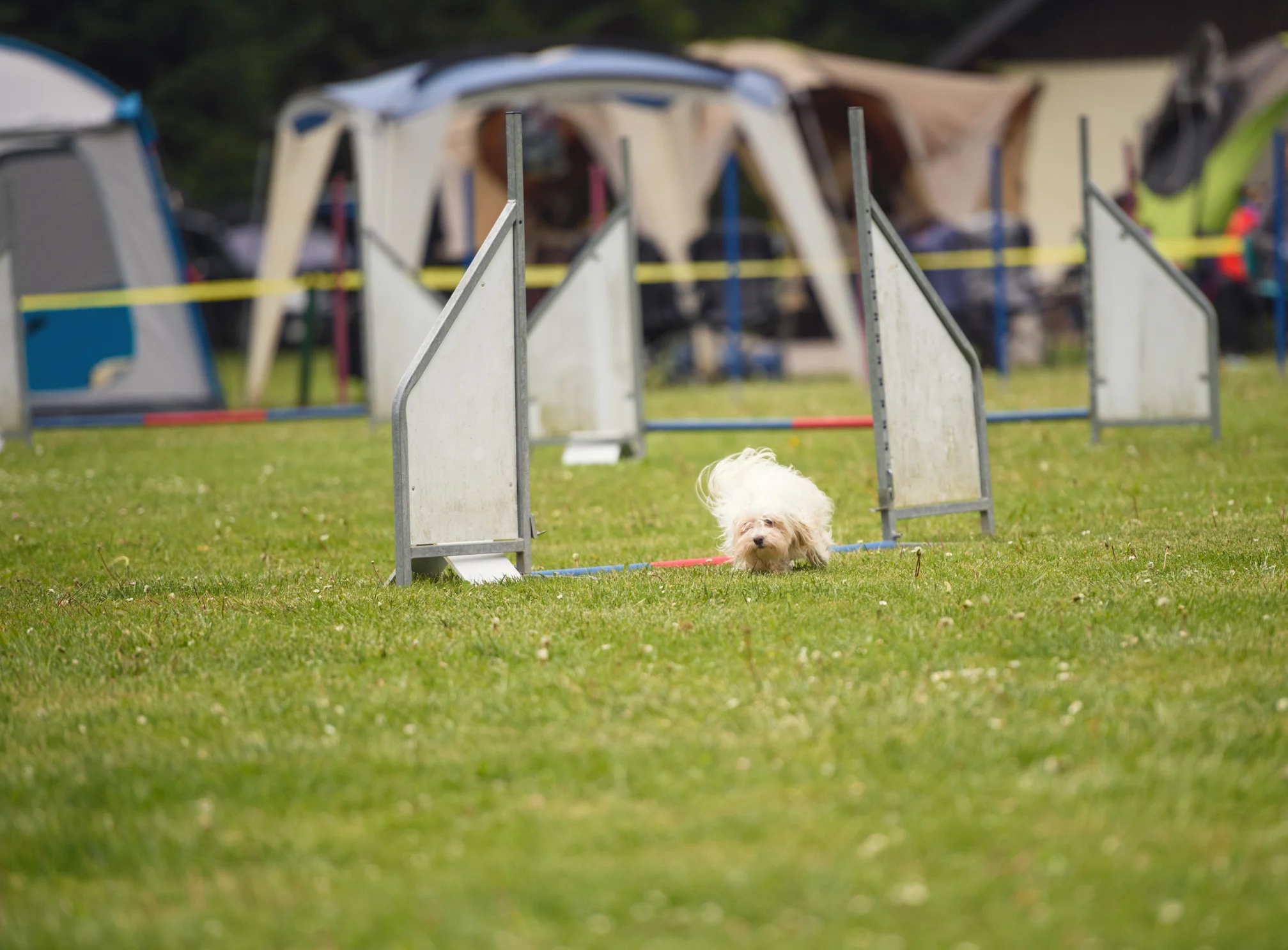 An interview with Jenna Caloander: How to turn your agility failures into strengths