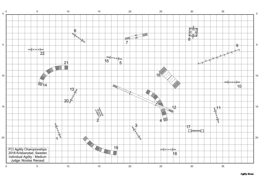 AWC-2018-Individual-Agility-Medium-course-map-Nicolas-Renaud.jpg