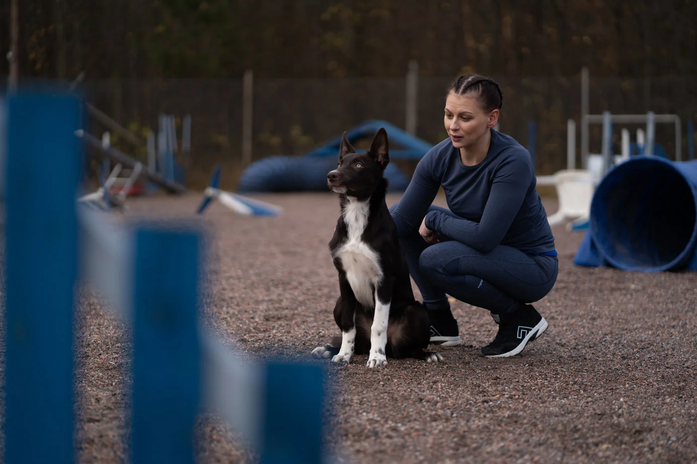 Does an agility handler need to be in top condition?