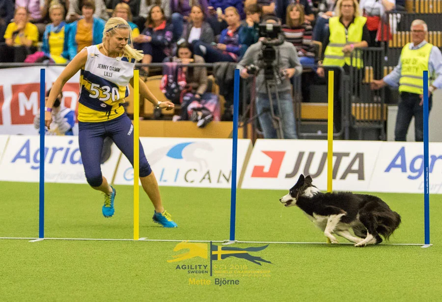 Photo by Mette Björne