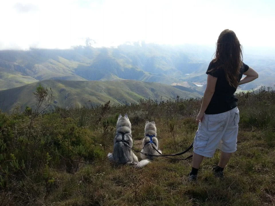 Simon-the-husky-hiking.jpg