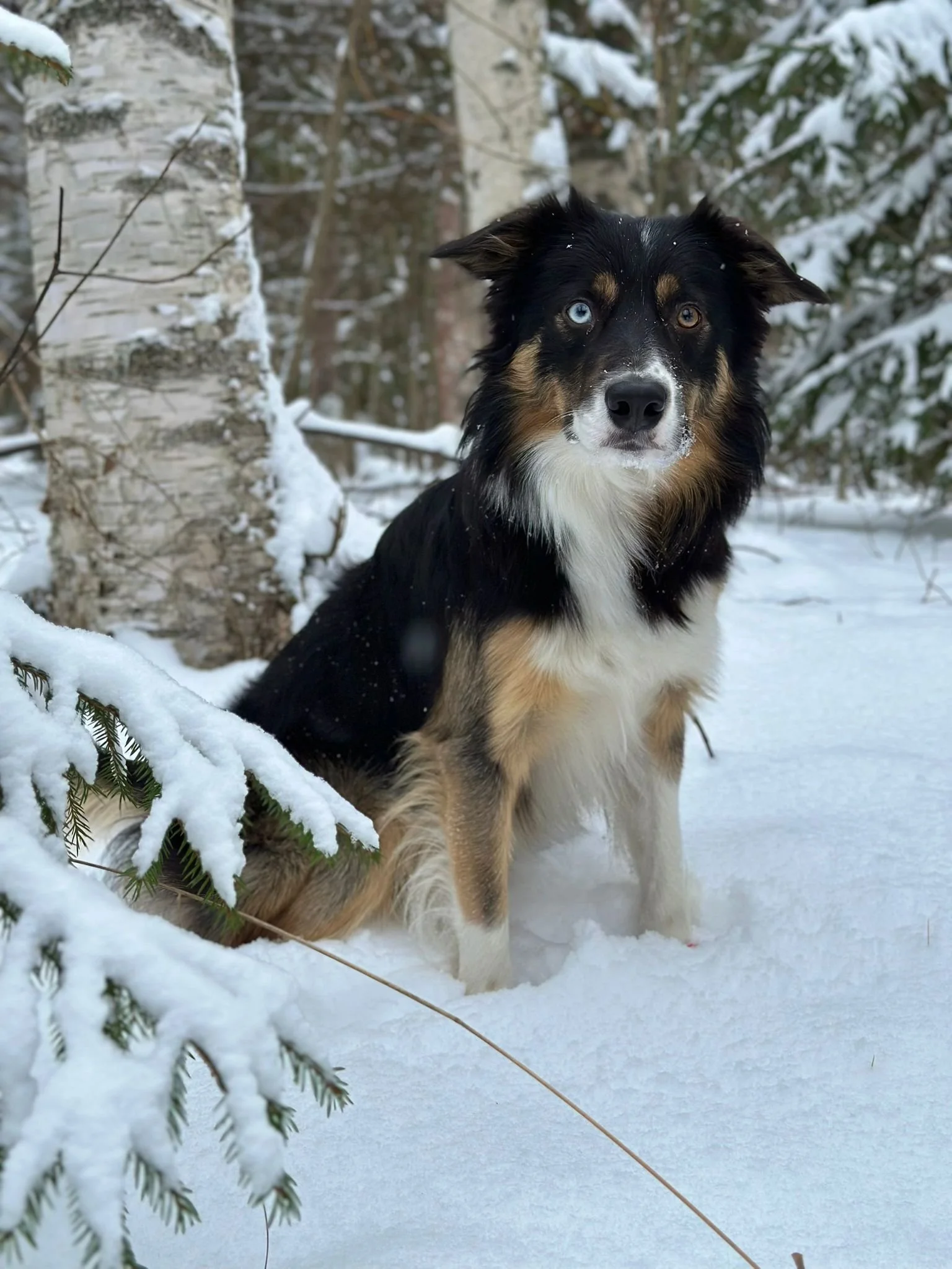 WhatsApp Image 2025-12-30 at 15.02.05.jpeg