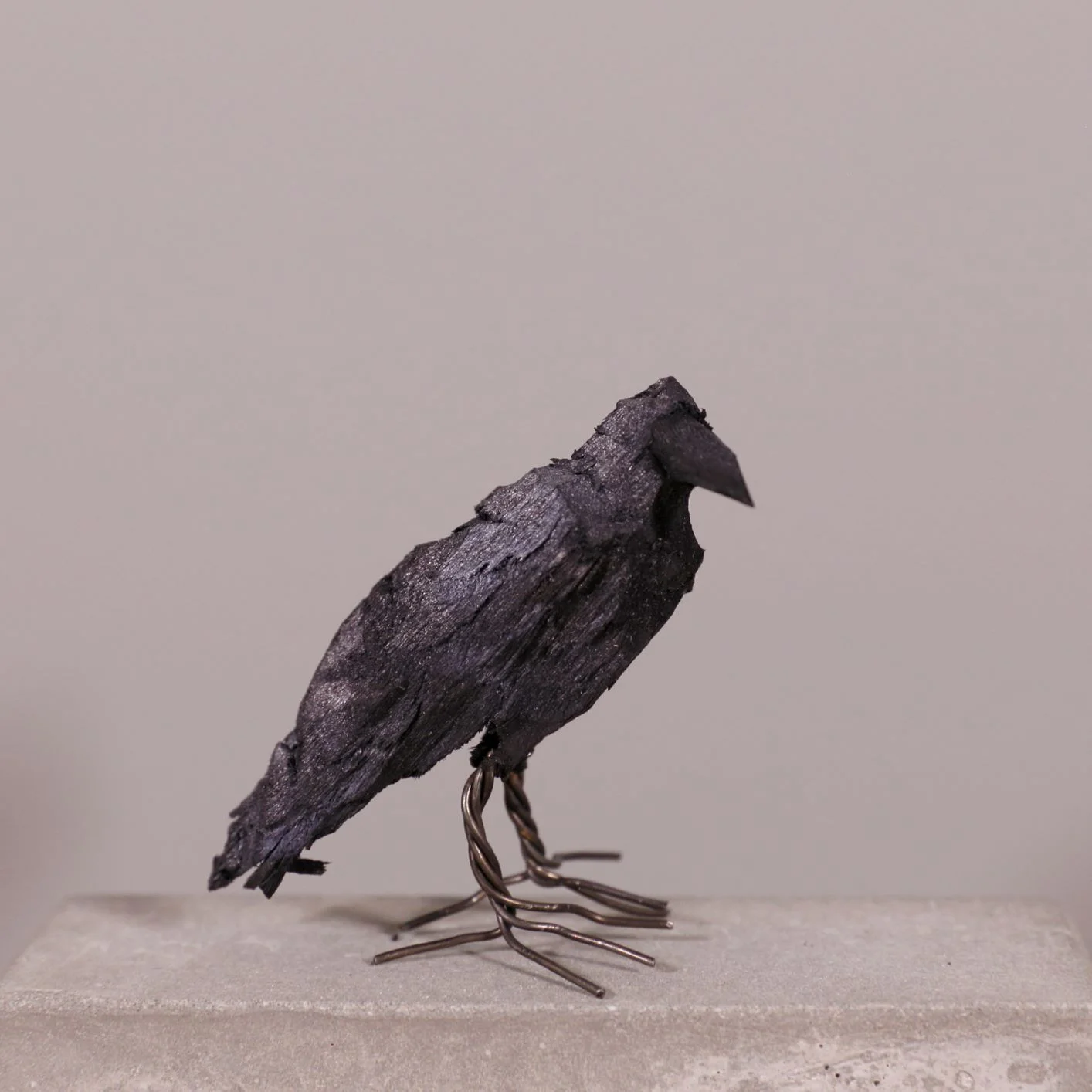 Birds_9309.jpg