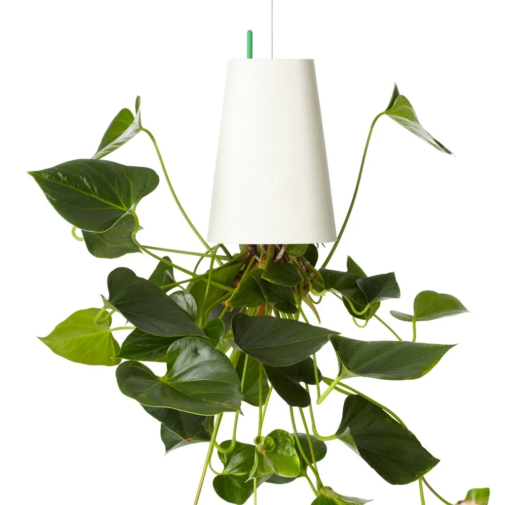 Sky_Planter_Recycled_Medium_White_9_1024x1024.jpg