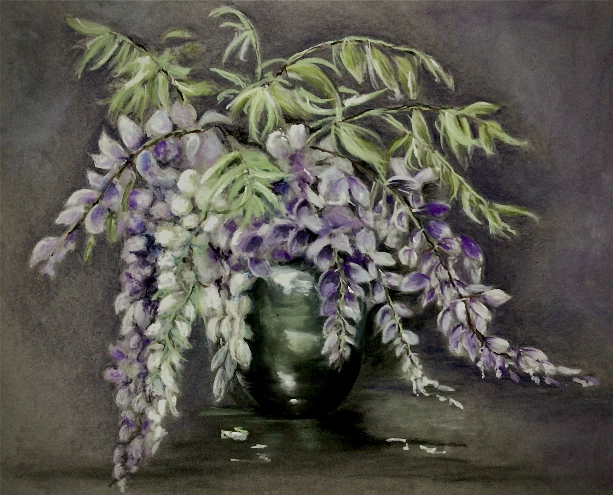 Wisteria