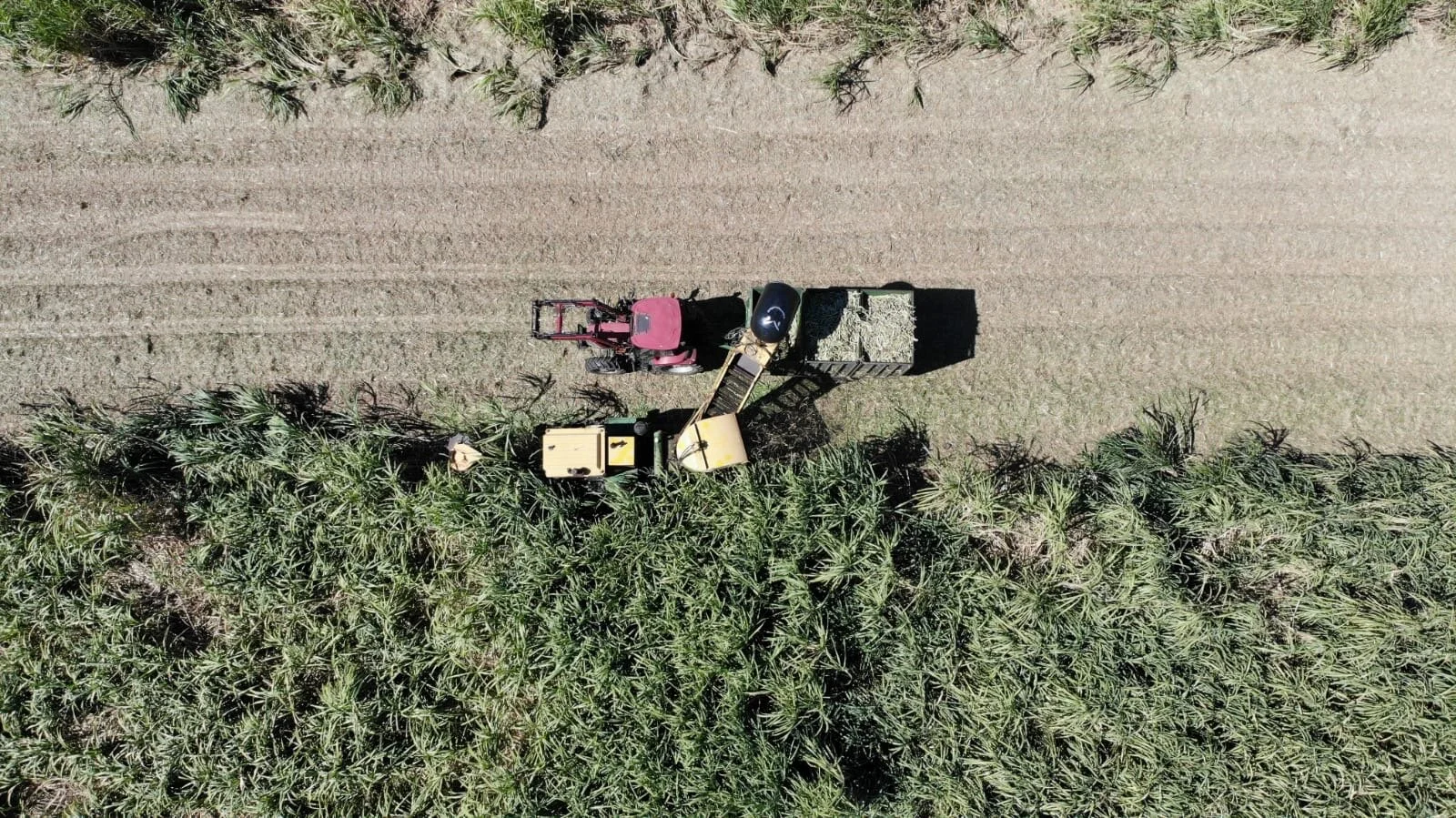 2019 Harvest All Wrapped Up!