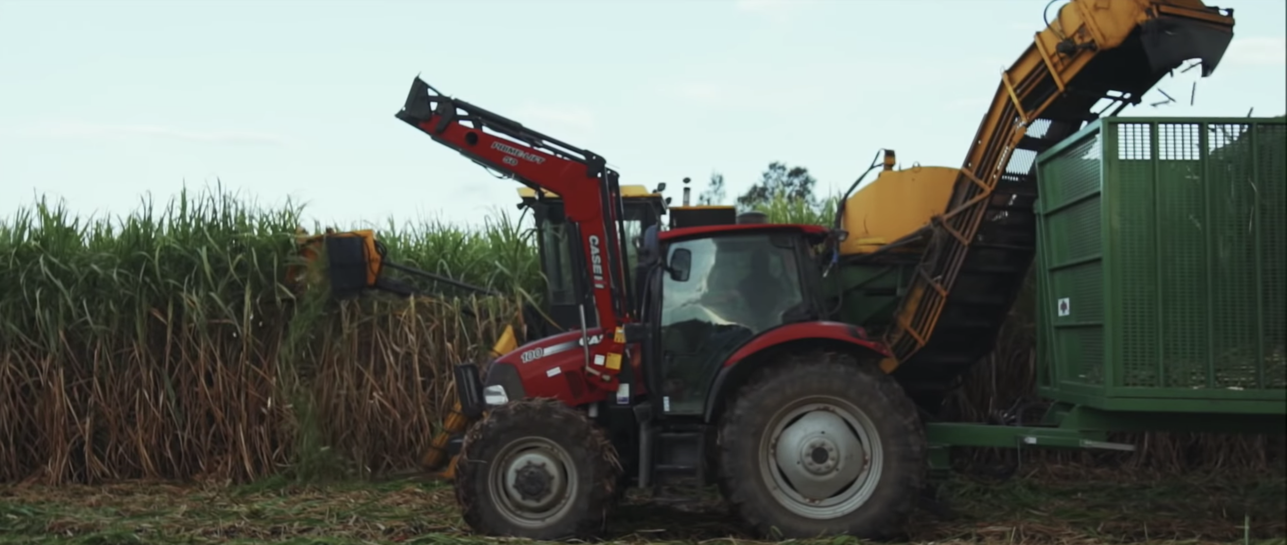 It's Harvest Time!