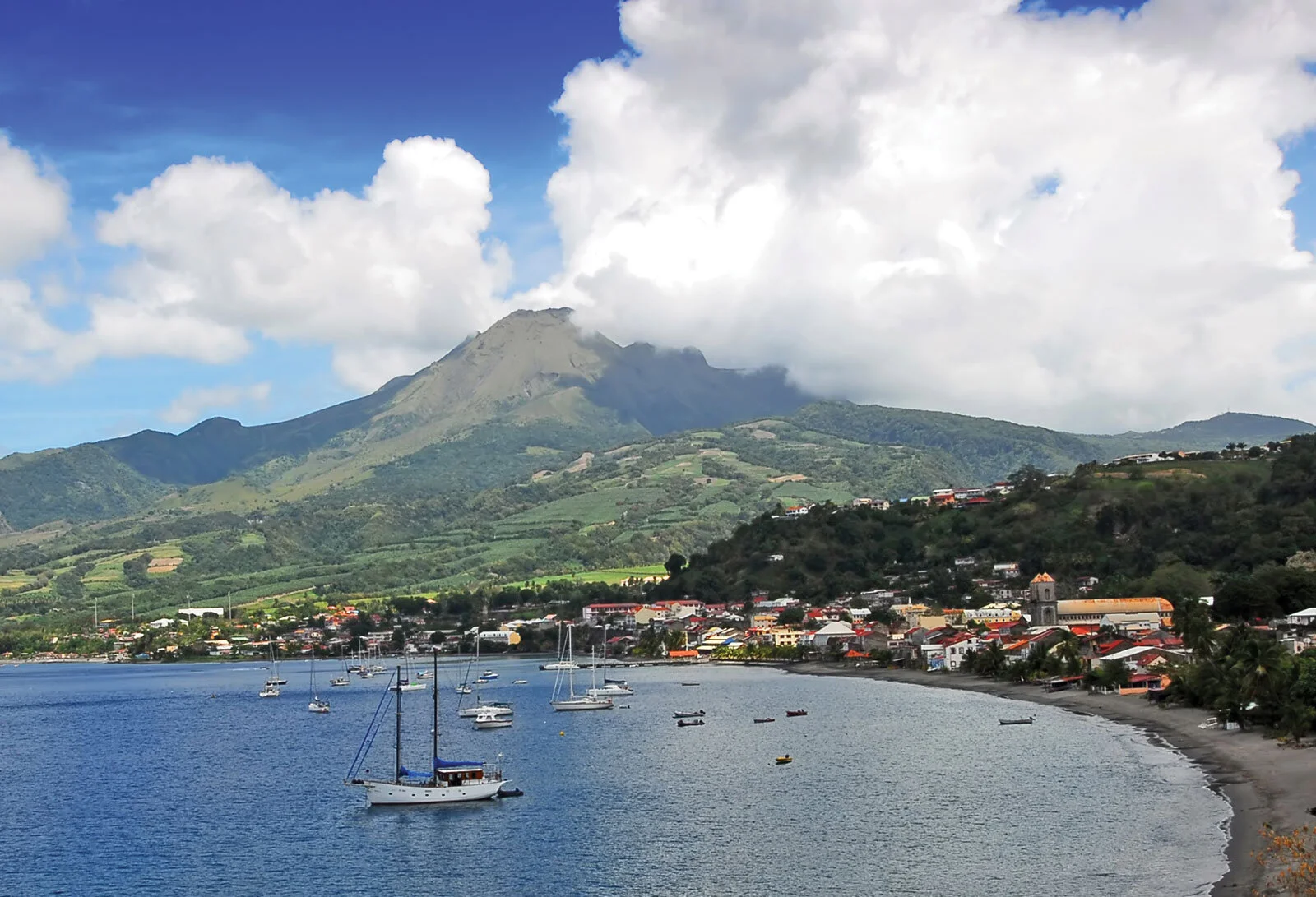 Cultivated Australian Rum: The Inspiration and Passion