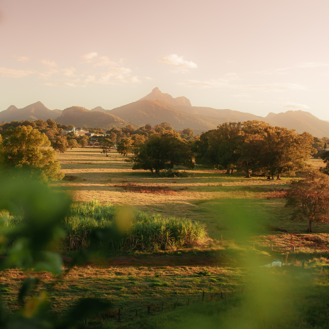 The Perfect Daytrip in the Tweed 2026